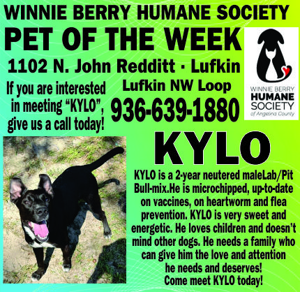 Winnie Berry Pet of the Week Ad