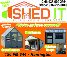 Shed It Ad